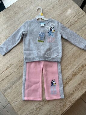 NEW 🆕 Bluey Girls Matching Set - Gray Top & Pink size 4T
